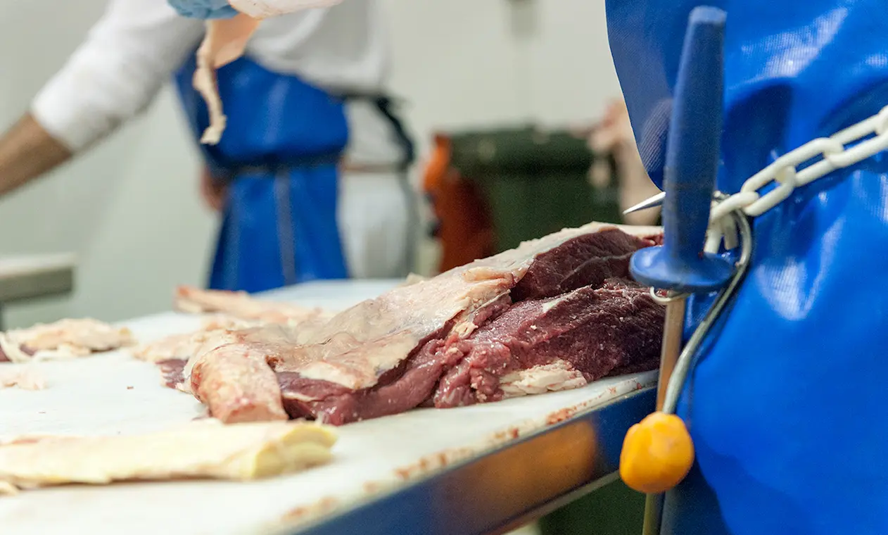 koallah farm job opportunity butcher